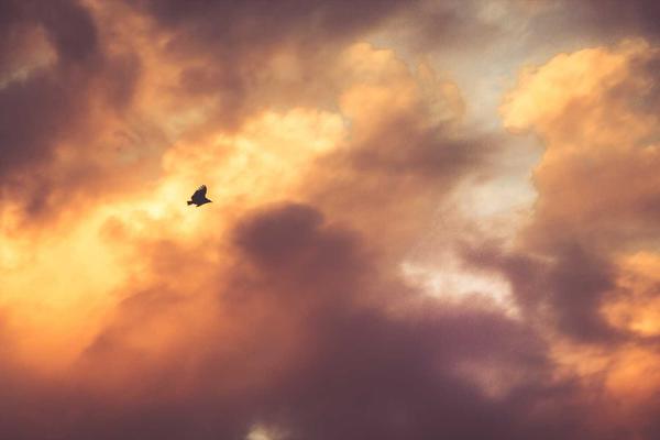 斗地主赛事